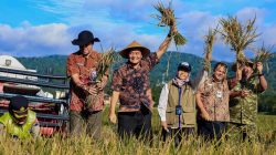 Tiga Bulan Panen, Jateng Hasilkan 3,35 Juta Ton Gabah Kering Giling