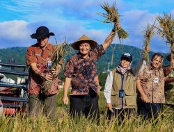 Tiga Bulan Panen, Jateng Hasilkan 3,35 Juta Ton Gabah Kering Giling