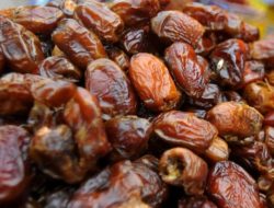 Tujuh Tips Memilih Buah Kurma Berkualitas Untuk Buka Puasa