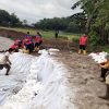 Tebing Sungai Pemali Terkikis 500 Meter, 12 Rumah Terancam