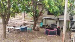 Empat Pemuda Hanyut Saat Razia Sabung Ayam di Tegal