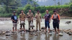 Tebar 10 Kg Benih Ikan, Relawan Salem Ajak Warga Jaga Sungai Cigunung