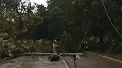 Cuaca Ekstrem Landa Pemalang, Satu Pengendara Jadi Korban