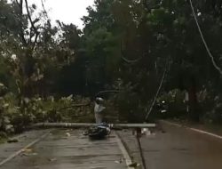 Cuaca Ekstrem Landa Pemalang, Satu Pengendara Jadi Korban