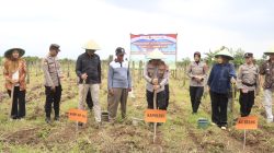 Kapolres Tegal Salurkan Bibit Jagung Maxxi Ke Kelompok Tani Desa Kabunan 