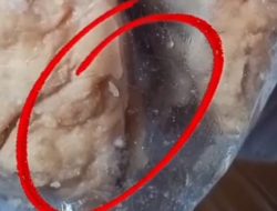 Viral, Menu MBG di Banjarharjo Ditemukan Berbelatung