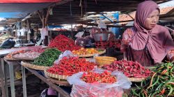 Harga Cabai di Pasar Pagi Tegal Mulai Turun