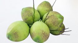 Inilah Enam Manfaat Konsumsi Air Kelapa Saat Bulan Puasa