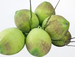 Inilah Enam Manfaat Konsumsi Air Kelapa Saat Bulan Puasa