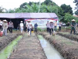 Aksi Tanam Jagung Serentak di Brebes Dukung Swasembada Pangan Nasional