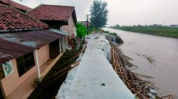 Arus Deras Kembali Gerus Tanggul Kali Ketiwon Tegal, BPSDA Pemali Comal Siapkan Perbaikan