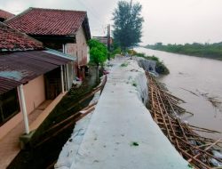Arus Deras Kembali Gerus Tanggul Kali Ketiwon Tegal, BPSDA Pemali Comal Siapkan Perbaikan