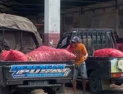 Harga Cabai di Brebes Njomplang, Di Petani Rp 9.000/ Kg Di Pasar Masih Rp 40.000/ Kg