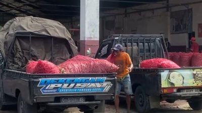 Harga Cabai di Brebes Njomplang, Di Petani Rp 9.000/ Kg Di Pasar Masih Rp 40.000/ Kg