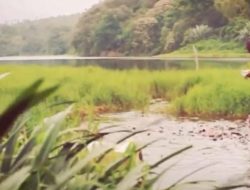 Ini Rekomendasi Tempat Wisata di Brebes untuk Liburan Long Weekend Bulan April