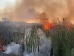 Cuaca Panas, Diimbau Tak Sembarangan Bakar Sampah Atau Ilalang