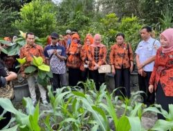 Ning Nawal Dukung Ibu-Ibu Menanam untuk Ketahan Pangan Keluarga