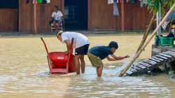 Meski Dibayangi Banjir, Stok Beras Jateng Tetap Aman dan Surplus Ratusan Ribu Ton