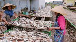 Status Lahan Tak Jelas, Pengolah Ikan Asin Tegal Diliputi Ketidakpastian