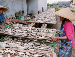 Status Lahan Tak Jelas, Pengolah Ikan Asin Tegal Diliputi Ketidakpastian
