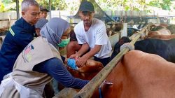 Pemprov Jateng Perkuat Layanan Kesehatan Hewan Gratis