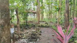 Candi Gagang Golok Galuh Timur, Sebuah Warisan Kuno di Pedalaman Brebes
