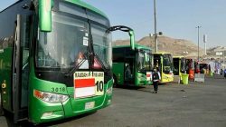 Haji 2024 Dinilai Sukses oleh Guru Besar UI, Jemaah Nikmati Transportasi Mulus dan Akomodasi Dekat Masjid Nabawi