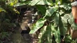 Warga Songgom Brebes Digegerkan Penemuan Mayat di Selokan