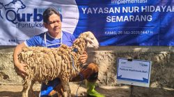 BRI Brebes Aksi Sosial Bantu 2 Ekor Kambing Kurban Lewat YBM