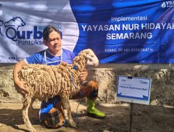 BRI Brebes Aksi Sosial Bantu 2 Ekor Kambing Kurban Lewat YBM