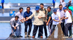 Presiden Panen Udang di Kebumen Bareng Gubernur Jateng