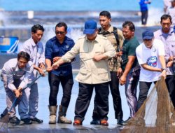 Presiden Panen Udang di Kebumen Bareng Gubernur Jateng