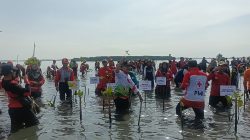 Minimalisir Dampak Rob, PMI Batang Tanam Seribu Bibit Mangrove