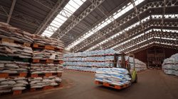 Serapan Pupuk Subsidi di Tegal Capai 15.993 Ton