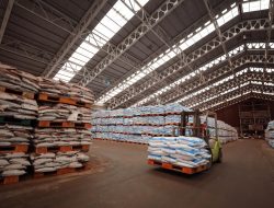 Serapan Pupuk Subsidi di Tegal Capai 15.993 Ton