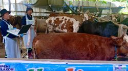Pengawasan Hewan Kurban di Jawa Tengah Diperkuat