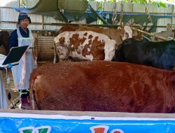 Pengawasan Hewan Kurban di Jawa Tengah Diperkuat