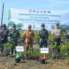 Kodim 0712/Tegal Tanam 500 Bibit Mangrove di Pantai Kedungkelor