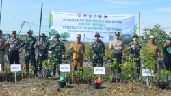 Kodim 0712/Tegal Tanam 500 Bibit Mangrove di Pantai Kedungkelor