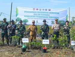 Kodim 0712/Tegal Tanam 500 Bibit Mangrove di Pantai Kedungkelor