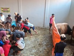 Warga LDII Pemalang Patungan Kurban Capai Rp 3.341.350.000