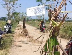 Jalan Rusak, Warga Protes Aksi Pasang Spanduk dan Tanam Pohon Pisang
